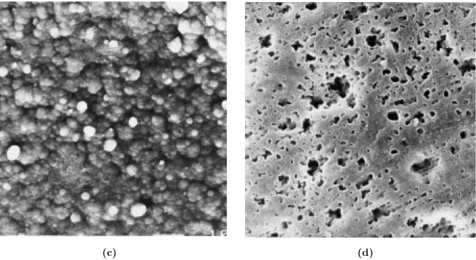 Figure 5. SEM photographs (1000 magnification) of (a) unwashed PPy/PMMA-co-PEMA-0.7 solution side, (b) unwashed PPy/PMMA-co-PEMA-0.7 electrode size, (c) washed PPy/PMMA-co-PEMA-0.7 solution side, (d) washed PPy/PMMA-co-PEMA-0.7 electrode side.