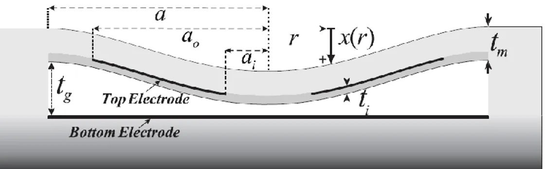 Figure  2.1: Cross-sectional  view of  circular  CMUT and its  clamped membrane  deflection structure [29]