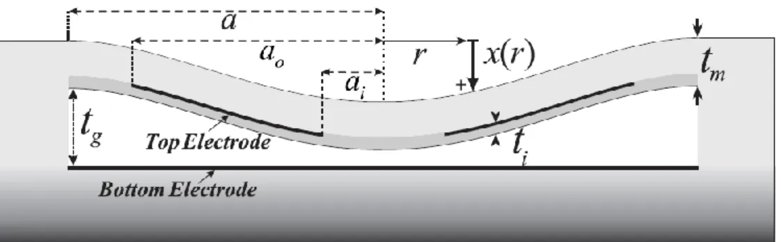 Figure  2.1: Cross-sectional  view of  circular  CMUT and its  clamped membrane  deflection structure [29]
