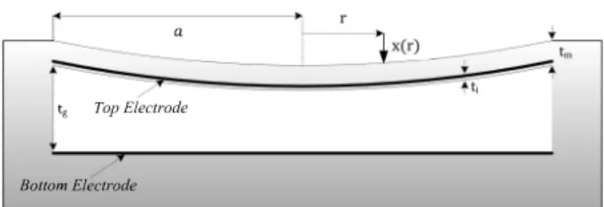 Fig.  1.  Cross sectional view of circular airborne CMUT. 