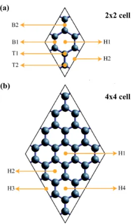 Figure 2.1: (a) A (2 × 2) cell of graphene and the six possible adsorption sites for the TM-atoms