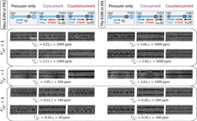 Figure 7. Top-view image-stacked photos of high-speed camera recordings to show the eﬀect of polymeric concentration on particle equilibrium positions at the channel outlet for EVM and Ply-EVM