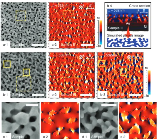 Figure 3 | E-ﬁeld distributions on mesoporous Au ﬁlms. (a-1,b-1) SEM images and (a-2,b-2,b-3) the corresponding E-ﬁeld distributions on