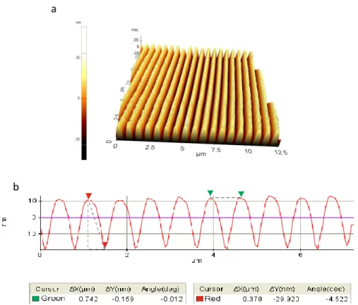Figure 3.3: AFM image  of  Maxell R+DVD;  (a) 3d surface topography,   (b) Period and depth 