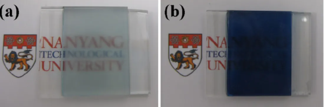 Fig. 9. Photographs of a complementary electrochromic device at the bleached state (a) and (b) the colored state under ±0.8 V, respectively.