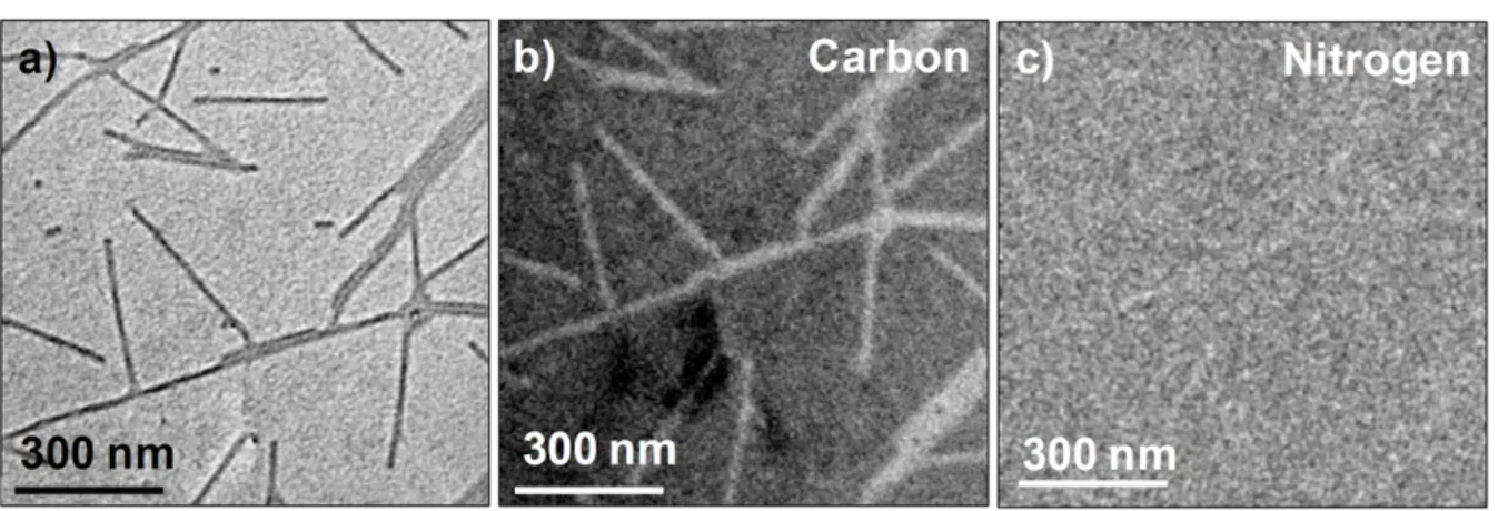 Figure 2. Elemental maps of pristine virus particles by EFTEM. (a) Pristine TMV particles imaged by TEM