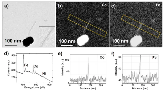 Figure 3. Elemental maps of a single CoFe nanowire. (a) TEM micrograph of a CoFe nanowire within the central channel of a TMV particle