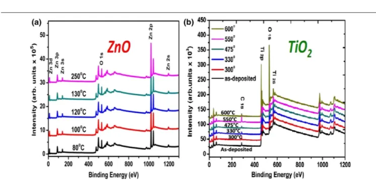 Fig. 1. XPS survey scan spectra of (a) ZnO films and (b) TiO 2 films.