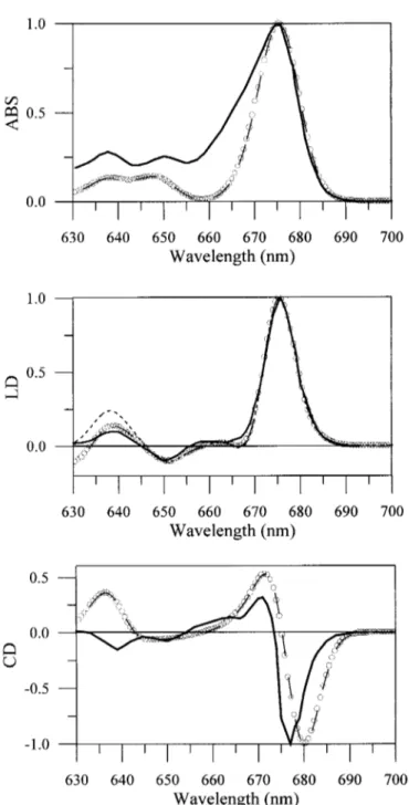 Figure 2. Experimental ABS, LD, and CD spectra versus simulations. Experimental data (ABS at 130 K, LD and CD at 77 K) are reproduced from [9] (solid lines)