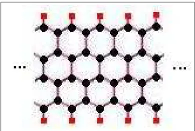 Figure 2.3: A hydrogenated zigzag graphene nano-ribbon. Red dots represents the hydrogen atoms.