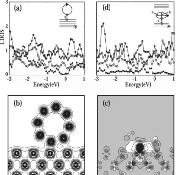 FIG. 2. 共a兲 LDOS at different Mo and C atoms of the 共8,0兲 zigzag SWNT side-bonded to the Mo 共110兲 surface
