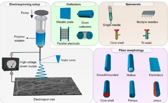 Figure 2. Schematic of the electrospinning process. Schematic also shows typical collectors and spinnerets