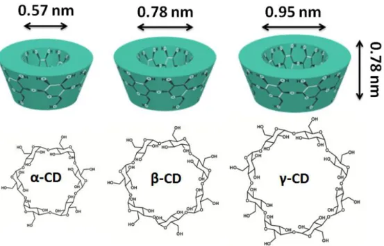 Figure 4. Schematic views and chemical structures of α-CD, β-CD, γ-CD. 
