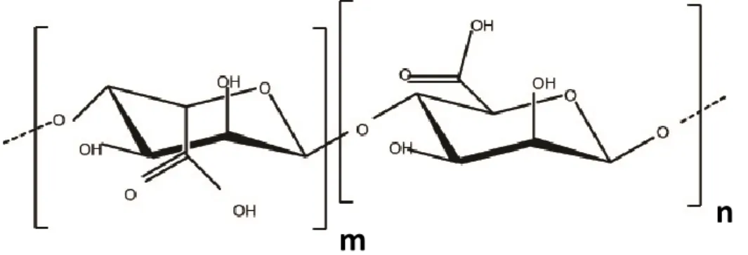 Figure 8. Chemical structure of alginate. 