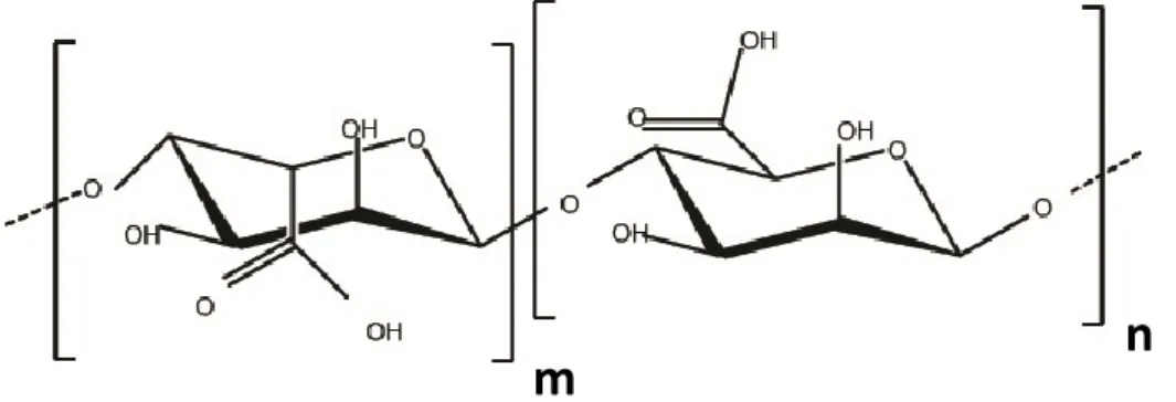 Figure 8. Chemical structure of alginate. 