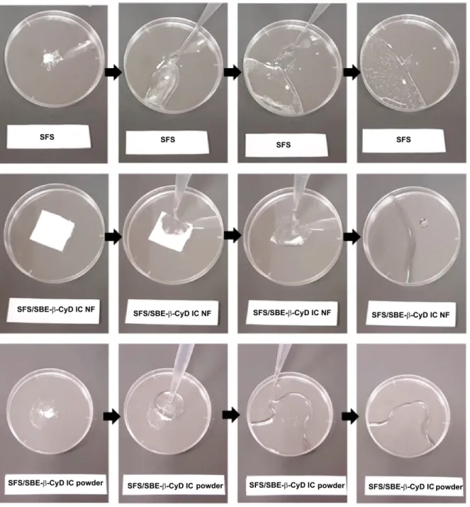Figure 7. Typical water-solubility of the drug loaded polymer-free CyD fibers. The representative  photos of the SFS and SFS/ SBE 7 -β-CyD IC powder and SFS/ SBE 7 -β-CyD IC nanofibers on exposure  to water
