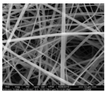 Figure 3.  The representative SEM images of the  electrospun HPβCD nanoﬁbers obtained from water  solution 