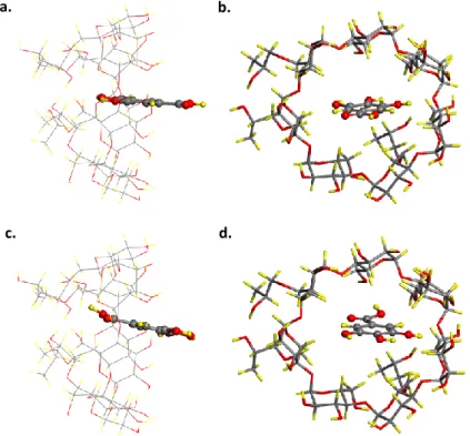 Figure 13. Top and side view of GA/HPβCD-IC for (a)-(b) head and (c)-(d) tail  orientation of GA