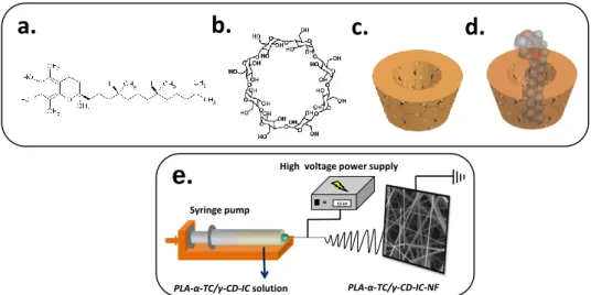 Figure 17. Chemical structure of (a)  α-TC, (b) γ-CD; schematic representation  of  (c)  γ-CD,  (d)  formation  of  α-TC/γ-CD-IC,  and  (e)  electrospinning  of  nanofibers from PLA/α-TC/γ-CD-IC solution