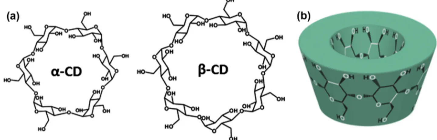 Fig. 1. (a) Chemical structure of a -CD and b-CD; (b) schematic representation of CD.