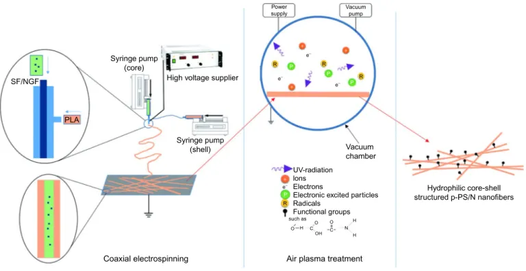 Fig. 1.8 Schematic illustration of the electrospinning and air plasma treatment toward the formation of p-PS/N scaffolds.