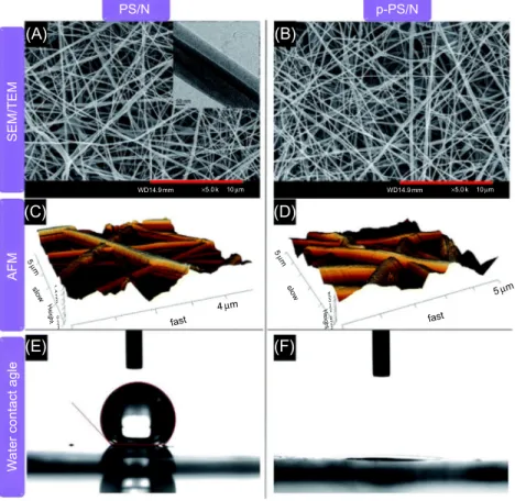 Fig. 1.9 Fiber morphologies, surface roughness and hydrophilicity of PS/N and p-PS/N scaffolds