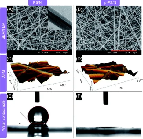 Fig. 1.9 Fiber morphologies, surface roughness and hydrophilicity of PS/N and p-PS/N scaffolds