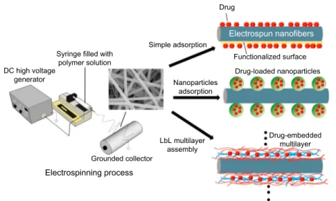 Fig. 1.1 Three modes of physical drug loading on the surface of electrospun nanofibers.