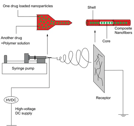 Fig. 1.4 shows the schematic illustration of the preparation process and working hypothesis for coaxial electrospun fiber scaffolds
