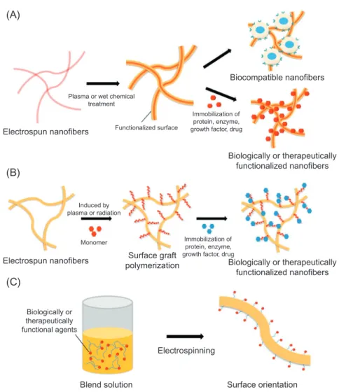 Fig. 1.7 Surface modification techniques of electrospun nanofibers. (A) Plasma treatment or wet-chemical method