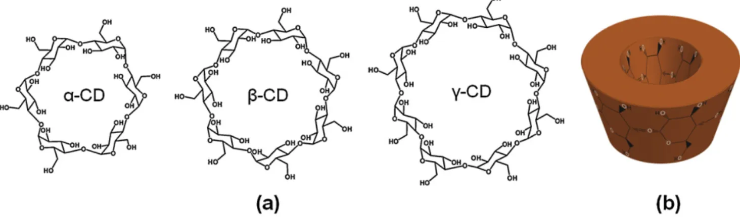 Fig. 1. (a) Chemical structures of ␣-CD, ␤-CD and ␥-CD and (b) schematic representation of CD.