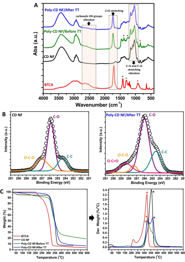Figure 2.  Characterization of cross-linked poly-CD nanofibers. (A) FTIR spectra of BTCA, pure CD nanofibers  (NF), poly-CD NF before and after thermal treatment (TT)