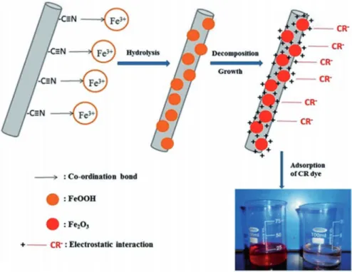 Fig. 6.8  Schematic representation of iron oxide nanoparticles grown on the surface of PAN nano- nano-fibers and mechanism of CR dye removal