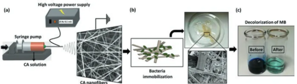 Fig. 6.10  Schematic representation of the electrospinning process for CA nanofibers, immobiliza- immobiliza-tion of bacterial cells on CA nanofibrous web, and photograph of the decolarizaimmobiliza-tion process