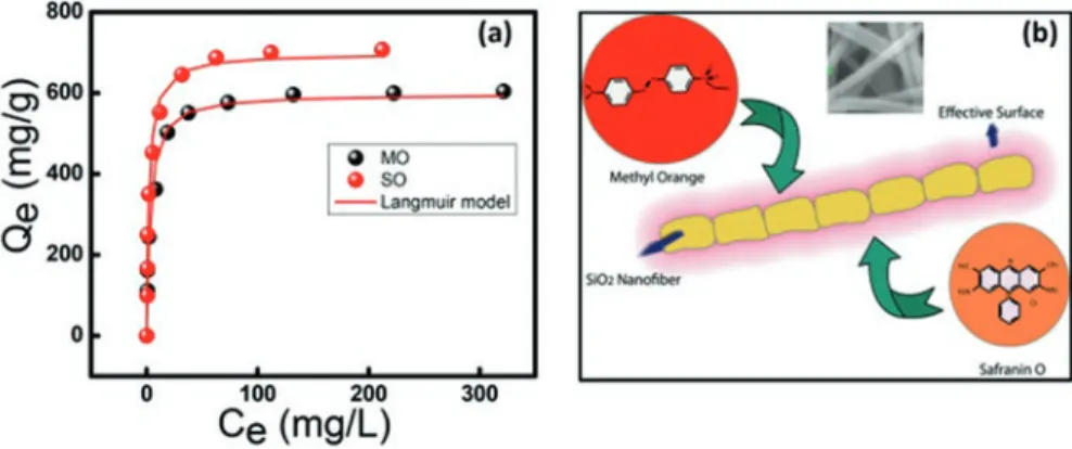Fig. 6.4 (a) Adsorption isotherms for adsorption of MO and SO dyes onto SiO 2  nanofibers, (b)  schematic representation of dyes adsorption onto SiO 2  nanofibers