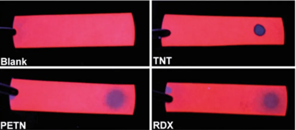 Fig. 8.7 Images of Si-NC coated filter paper under a handheld UV-lamp without the presence of nitrocompounds and in the presence of solutions of TNT, PETN, and RDX, as indicated [38]