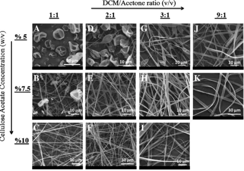 Fig. 2. Representative higher magniﬁcation SEM images of the electrospun CA ﬁbers focused on the porous structure: (A) 5% (w/v), (B) 7.5% (w/v), (C) 10% (w/v) CA in 1/1 DCM/