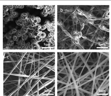 Table 1 Electrospinning of HP bCD–AAB-ICs