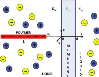 FIG. 1. Polyelectrolyte of length L and linear charge density −λ < 0 whose right end is located at a distance of z = z t < 0 from the membrane