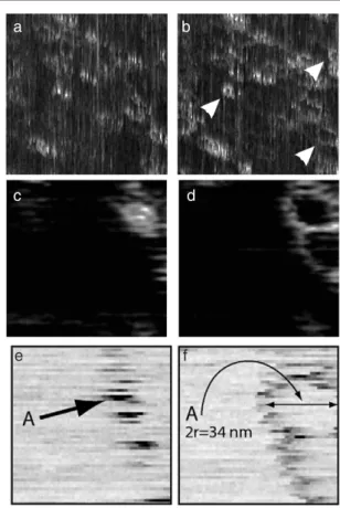 Figure 10. Constant height mode images taken over the sample with InAs quantum dots. The tip height is z ts = 20 nm