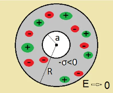 Figure 3.2: Accumulation of charges around a rod-like object of radius a and surface charge density −|σ| &lt; 0 confined to a pore of radius R.