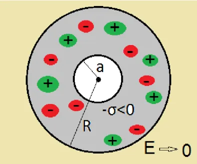 Figure 3.2: Accumulation of charges around a rod-like object of radius a and surface charge density −|σ| &lt; 0 confined to a pore of radius R.