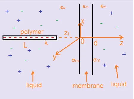 Figure 5.1: Schematic representation of a polymer with length L approaching a membrane of thickness d from the CIS side at a distance z t (L &gt;&gt; d).