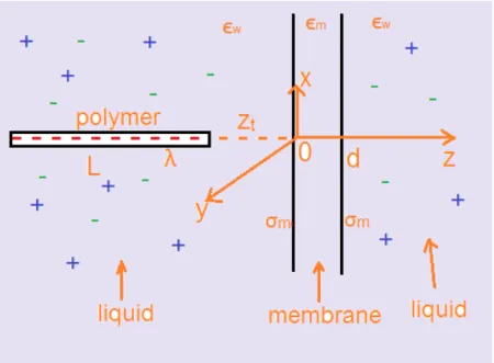 Figure 5.1: Schematic representation of a polymer with length L approaching a membrane of thickness d from the CIS side at a distance z t (L &gt;&gt; d).