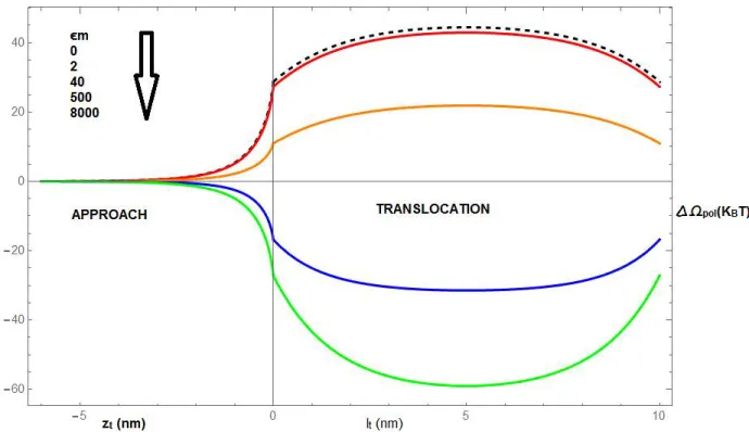 Figure 5.3: Polymer grand potential in the approach and translocation phases through a neutral membrane (σ m = 0) for different  m ’s