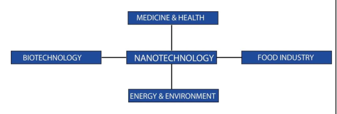 Figure 1 Utility of nanotechnology in various areas.  