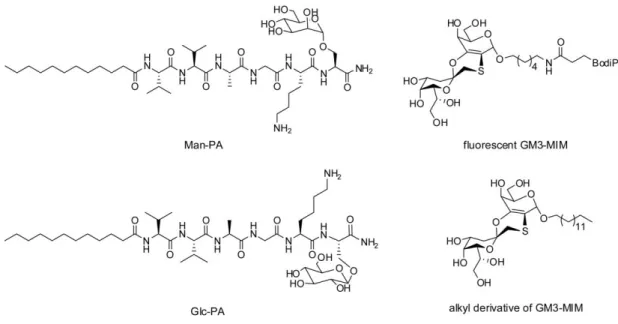 Figure 12 Chemical structures of molecules used in the study. 