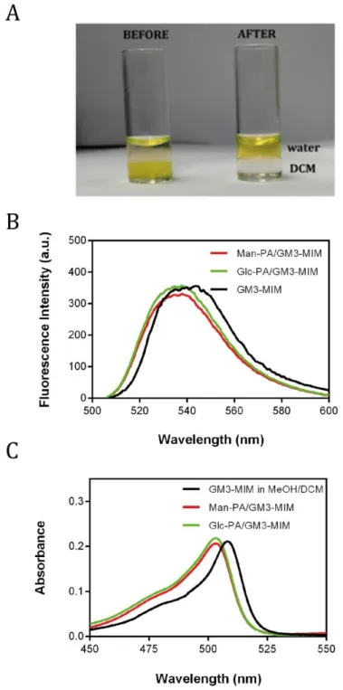 Figure  15  Solvent  exchange  (DCM:H 2 O)  process  for  the  integration  of  the  GM3- GM3-MIM  molecule  into  peptide  structures