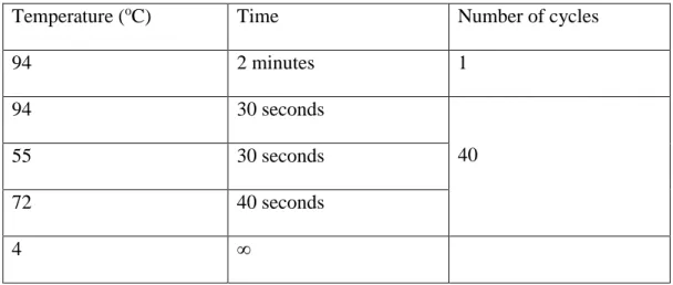 Table 1: the conditions for PCR for mycoplasm testing. 