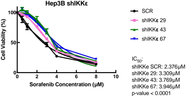 Figure  3.12:  Depletion  of  IKBKE with  shRNA  increases  resistance  of Hep3B  cells  to  Sorafenib